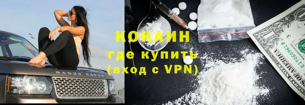 дживик Алзамай