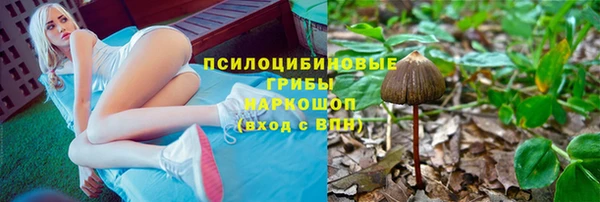 дживик Алексин